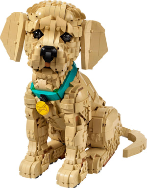 LEGO® 11384 Icons Golden Retriever Puppy alternate image 12