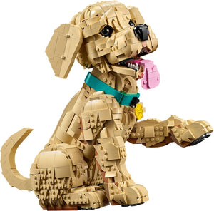 LEGO® 11384 Icons Golden Retriever Puppy alternate image 14