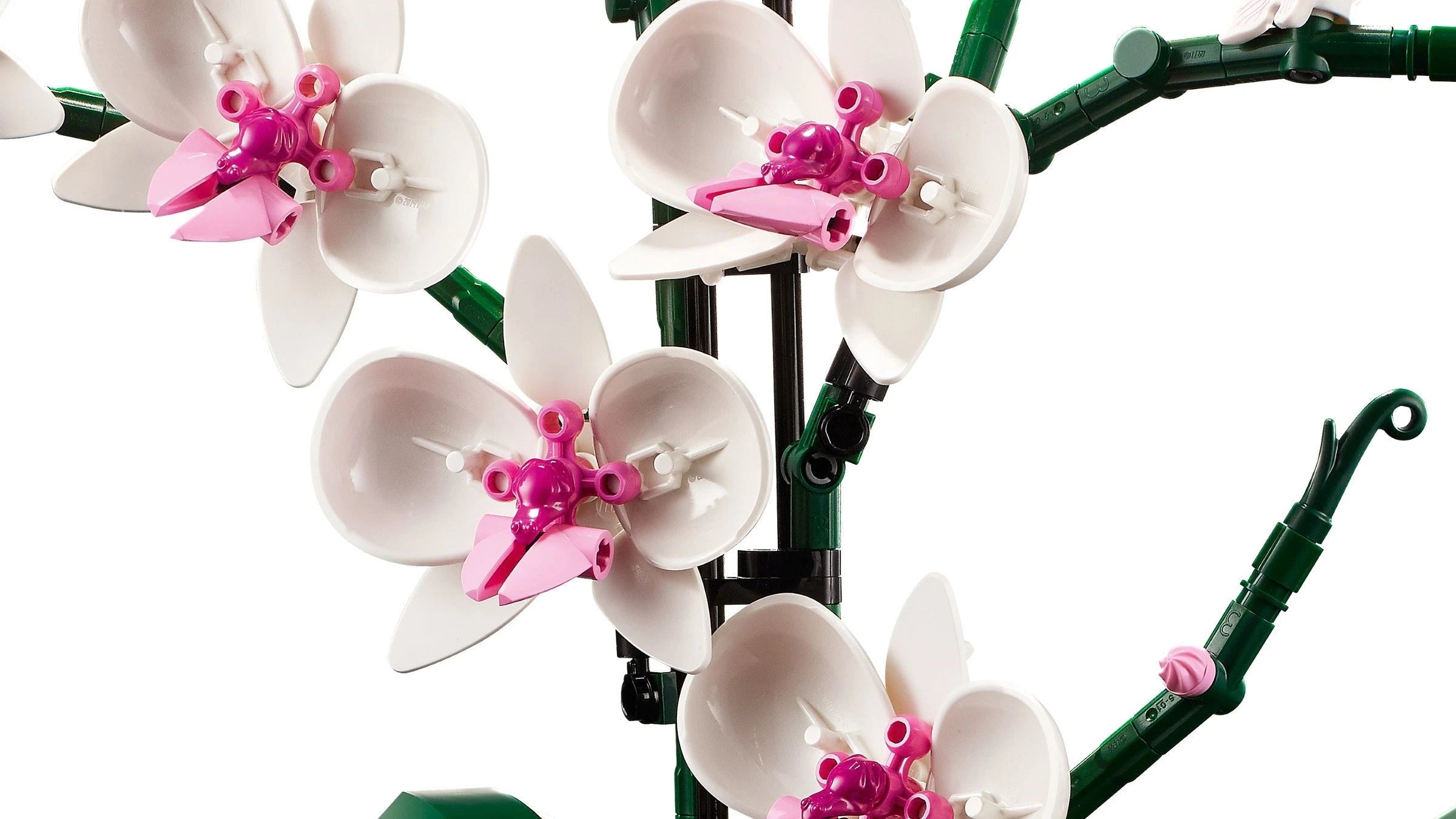 LEGO® 10311 Icons Orchid alternate image 4