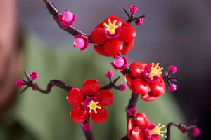 LEGO® 10369 Icons Plum Blossom alternate image 5