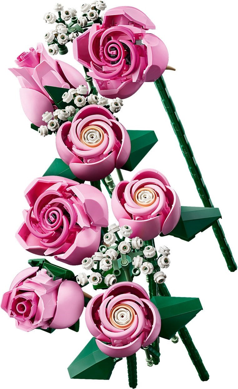 Model of pink roses and green leaves on a white background
