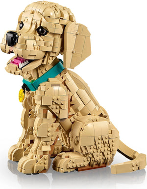 LEGO® 11384 Icons Golden Retriever Puppy alternate image 13