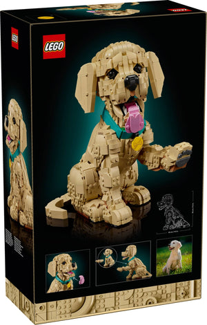 LEGO® 11384 Icons Golden Retriever Puppy alternate image 2