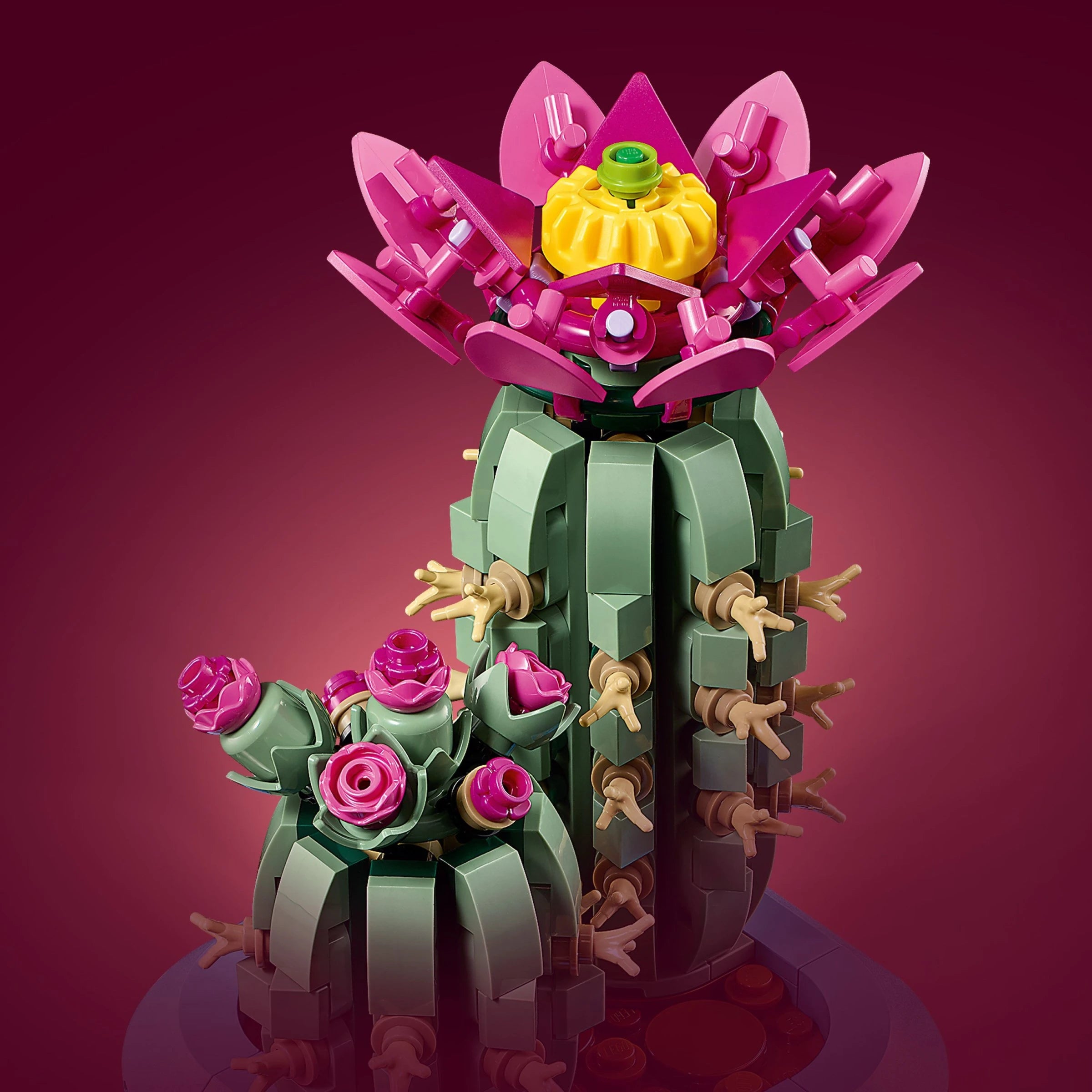 LEGO® 11509 Botanicals Flowering Cactus alternate image 4