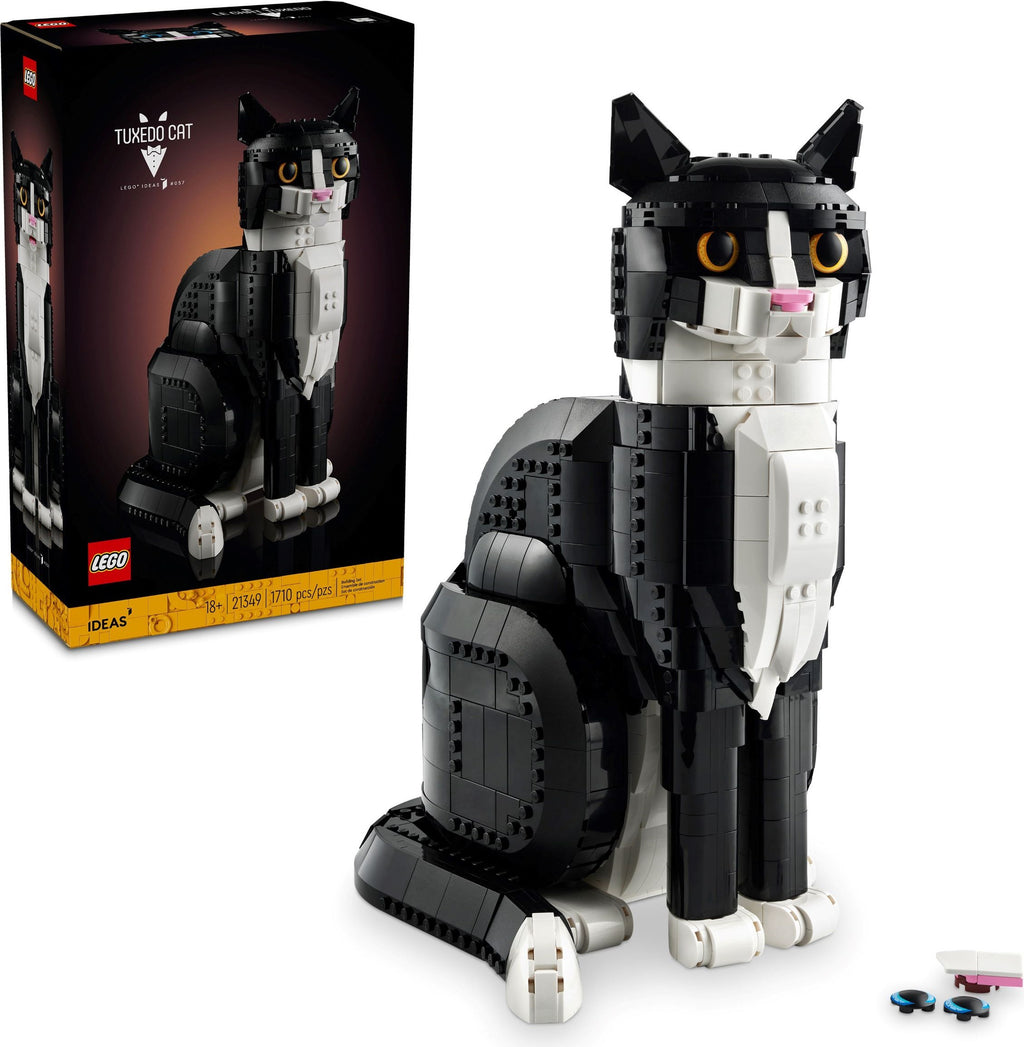 LEGO cat model with packaging in the background